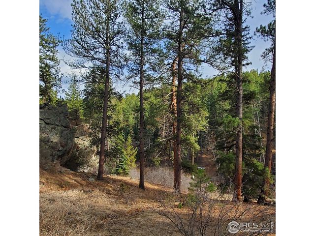 331 Fox Creek Rd, Glen Haven, CO 80532