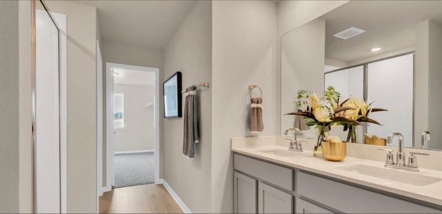 257 Frogmore LOOP, Kyle, TX 78640