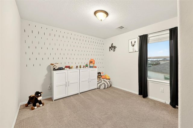 10023 Yanet Grove Lane, Houston, TX 77044