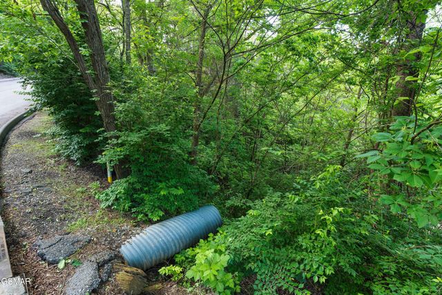 Lot 115 Alpine Mountain Way, Pigeon Forge, TN 37863