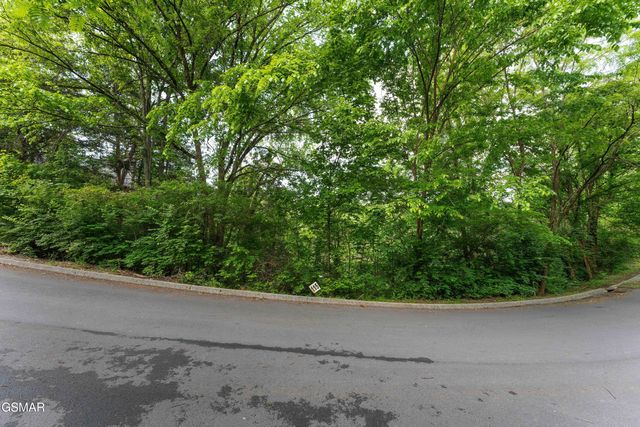 Lot 115 Alpine Mountain Way, Pigeon Forge, TN 37863
