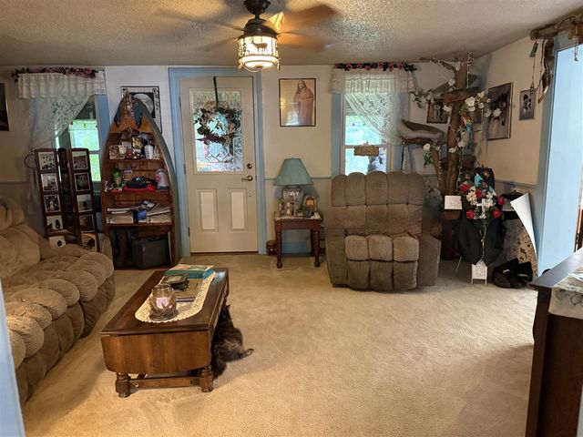 7645 Wolf Road, Bellevue, MI 49021