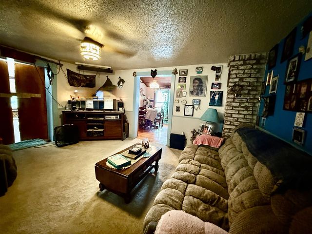 7645 Wolf Road, Bellevue, MI 49021