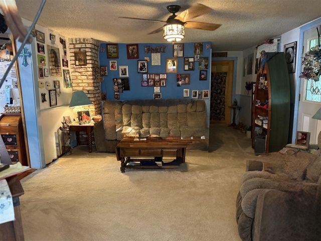 7645 Wolf Road, Bellevue, MI 49021