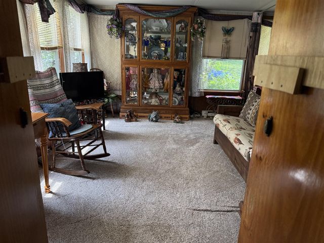 7645 Wolf Road, Bellevue, MI 49021