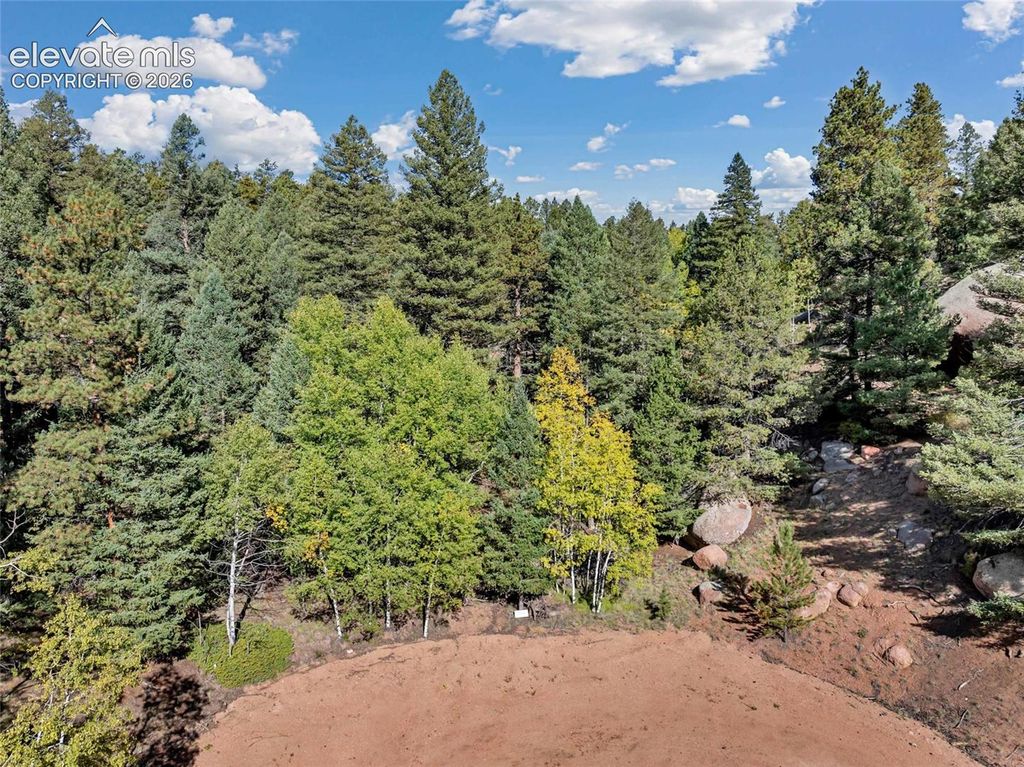 926 Pinon Lane, Florissant, CO 80816 — photo 2