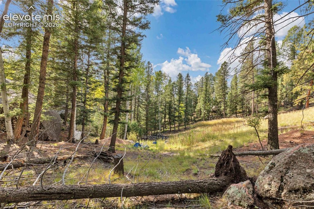 926 Pinon Lane, Florissant, CO 80816 — photo 3