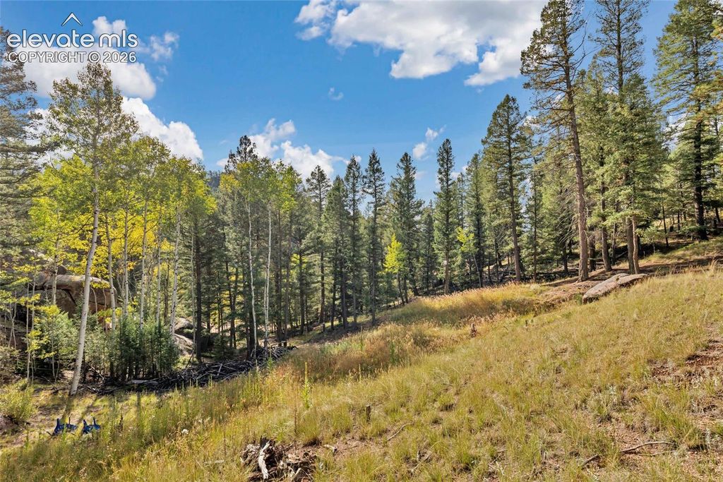 926 Pinon Lane, Florissant, CO 80816 — photo 4