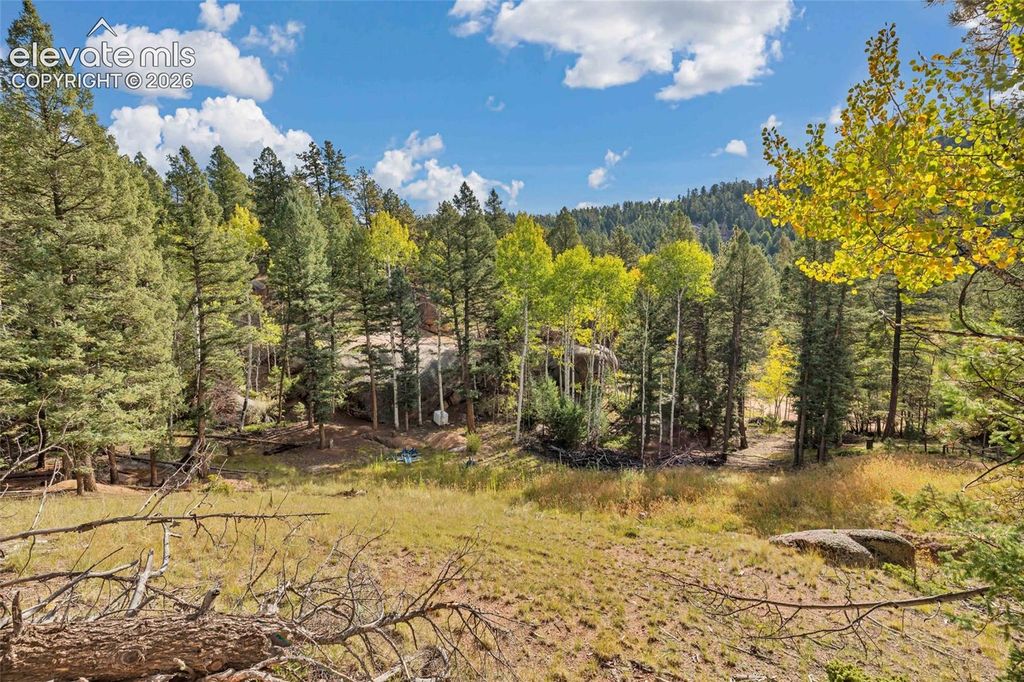 926 Pinon Lane, Florissant, CO 80816 — photo 5