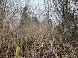 14 XX W Huntley Street, Aberdeen, WA 98520