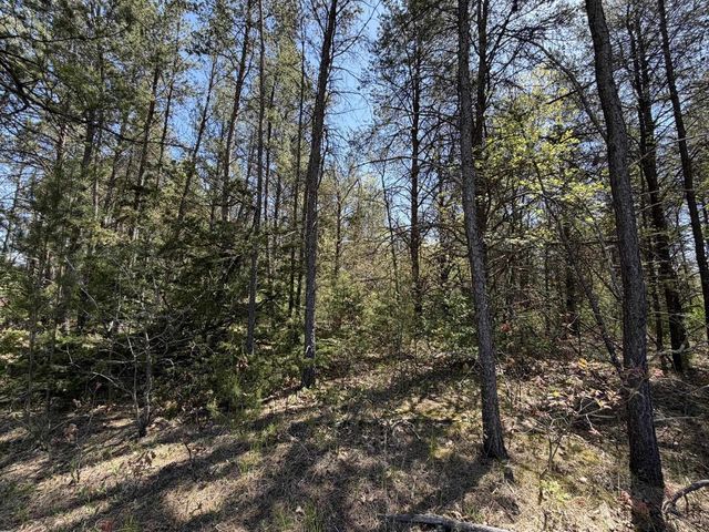 1.52 Acres Queens Way, Necedah, WI 54646