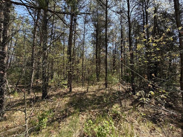 1.52 Acres Queens Way, Necedah, WI 54646