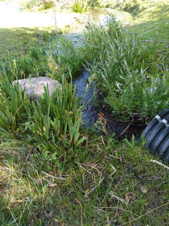 36344 Kerr Dam Road, Polson, MT 59860 photo 26