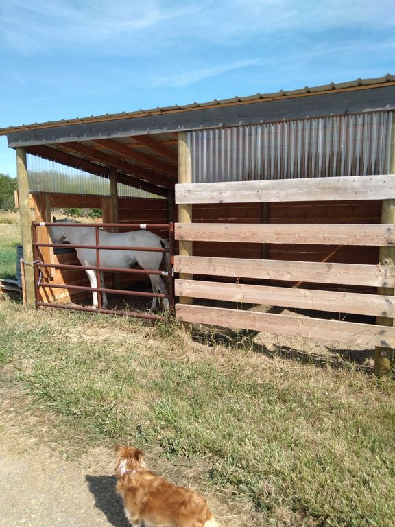 36344 Kerr Dam Road, Polson, MT 59860 photo 29