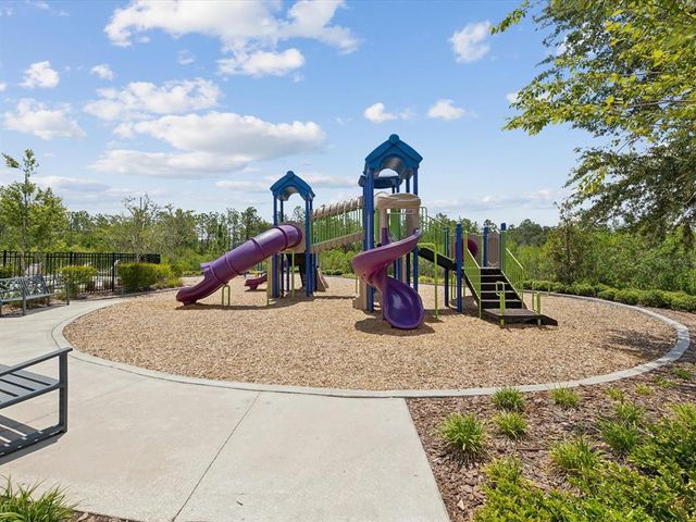 33716 ELM HILL BRANCH, Wesley Chapel, FL 33545