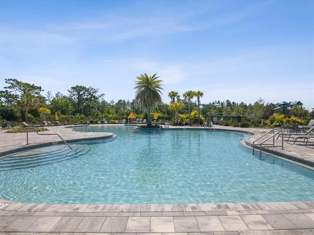 33716 ELM HILL BRANCH, Wesley Chapel, FL 33545