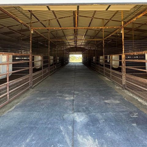 10145 Friendship Road, Pilot Point, TX 76258