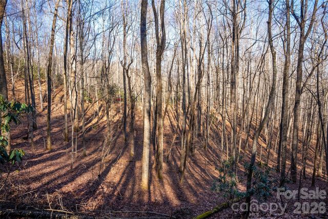 370 Moons Rest Lane, Brevard, NC 28712