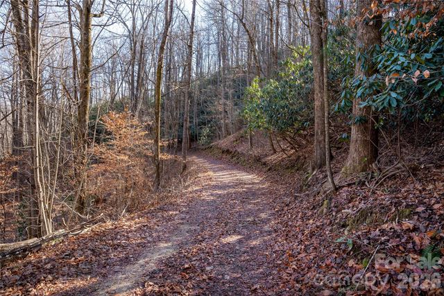 370 Moons Rest Lane, Brevard, NC 28712