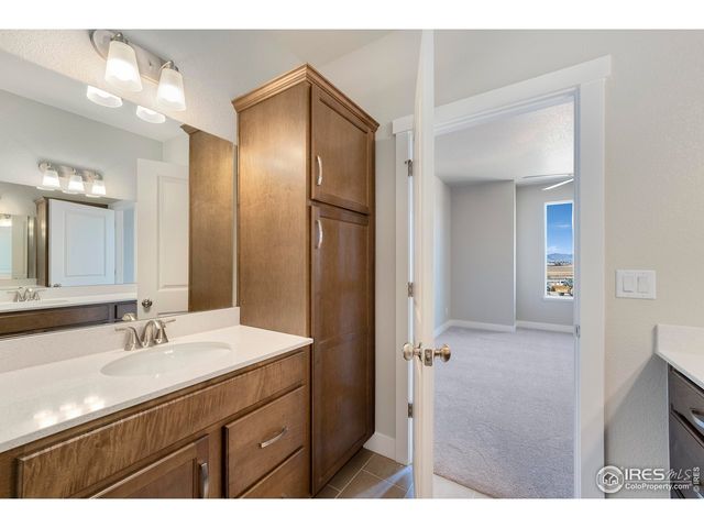 6793 Maple Leaf Dr 202, Timnath, CO 80547