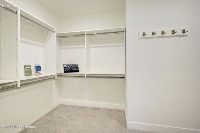 12502 Button Willow Ln, Louisville, KY 40299