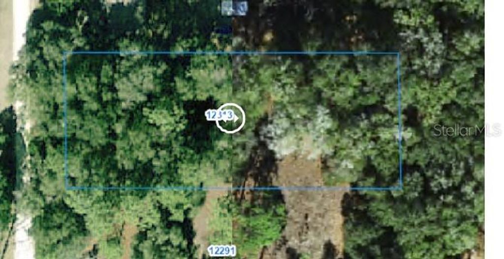 12313 N ELF POINT, Dunnellon, FL 34433