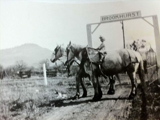 1984 Brookhurst Street, Medford, OR 97504