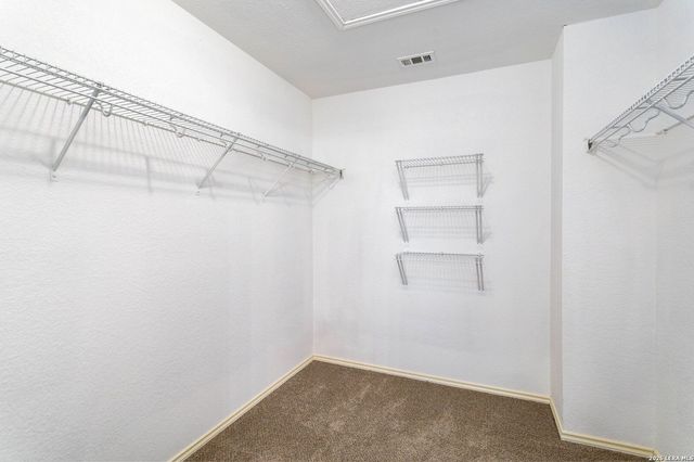 9359 Maple Silver, San Antonio, TX 78254