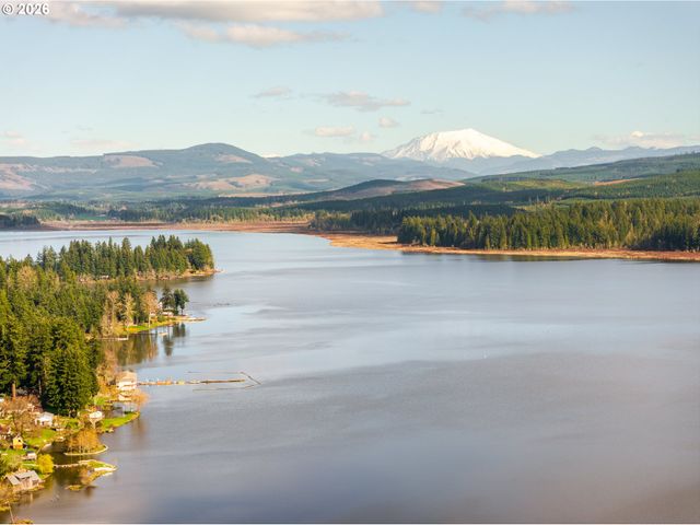 946 PAINE Rd, Castle Rock, WA 98611