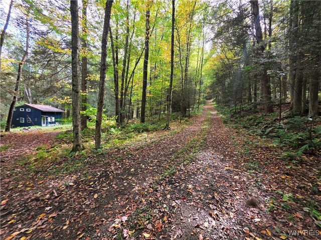 7629 Russell Hill Road, Caneadea, NY 14717