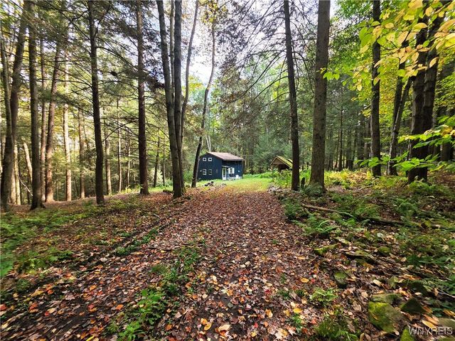 7629 Russell Hill Road, Caneadea, NY 14717