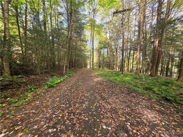 7629 Russell Hill Road, Caneadea, NY 14717