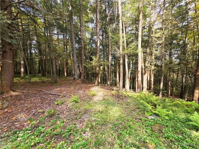 7629 Russell Hill Road, Caneadea, NY 14717