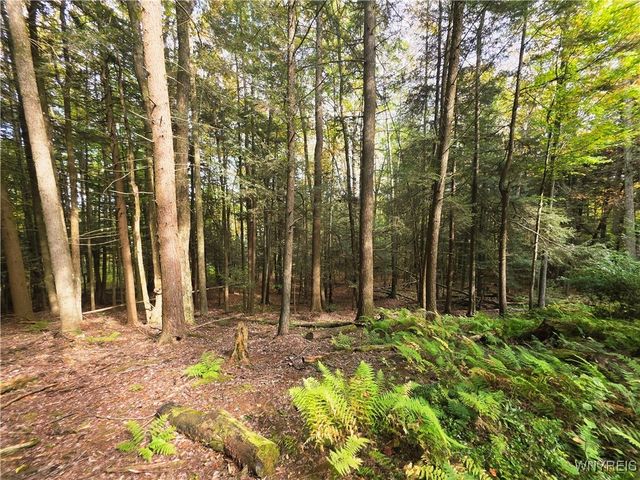 7629 Russell Hill Road, Caneadea, NY 14717