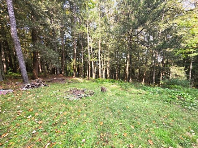 7629 Russell Hill Road, Caneadea, NY 14717