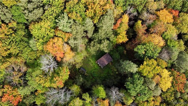 7629 Russell Hill Road, Caneadea, NY 14717