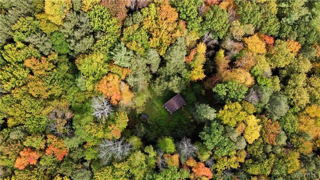 7629 Russell Hill Road, Caneadea, NY 14717