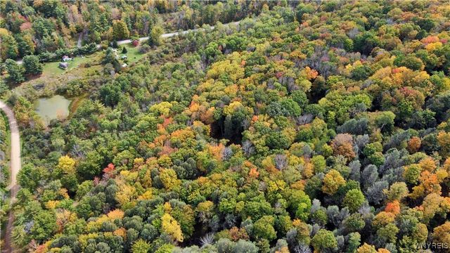 7629 Russell Hill Road, Caneadea, NY 14717