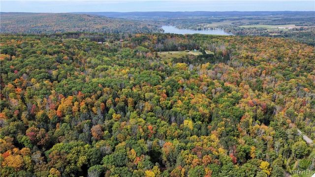 7629 Russell Hill Road, Caneadea, NY 14717