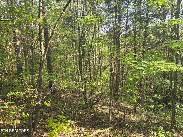0 Bales Road Rd, Knoxville, TN 37914