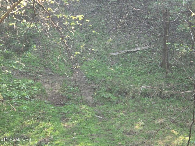 0 Bales Road Rd, Knoxville, TN 37914