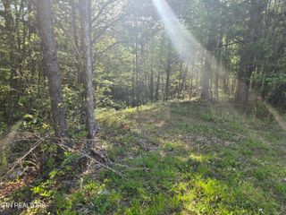 0 Bales Road Rd, Knoxville, TN 37914