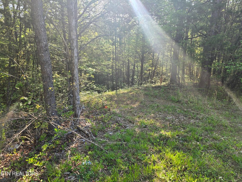 0 Bales Road Rd, Knoxville, TN 37914