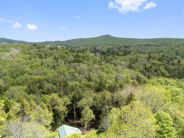 34 Ellis Brook Road, Dover, VT 05356