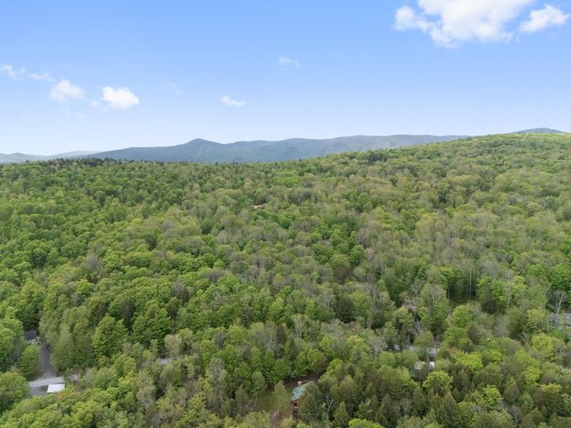 34 Ellis Brook Road, Dover, VT 05356