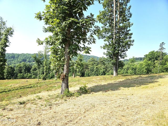 368 Oak Grove Road, Rogersville, TN 37857