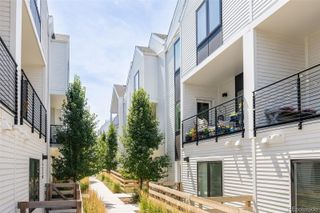 1179 S Reed Way, Lakewood, CO 80232