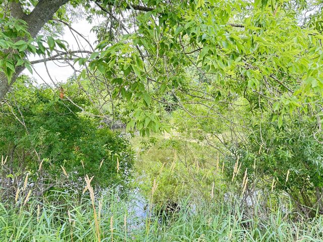 5818 Us Highway 31, Free Soil, MI 49411