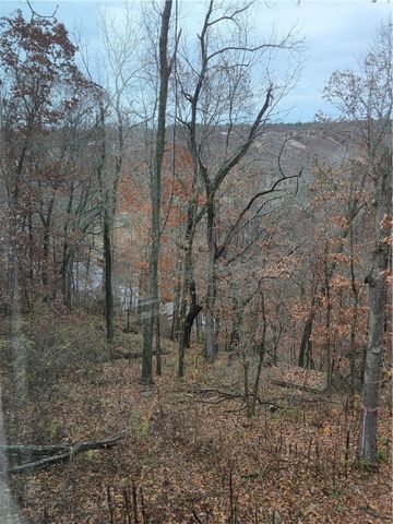 6 Waterside Lane, Bella Vista, AR 72715