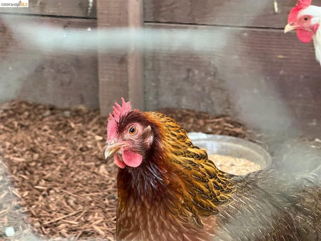 1799 Pomona St, Crockett, CA 94525